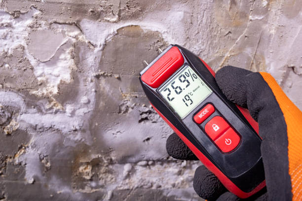  Slippery Rock University, PA Mold Removal Pros