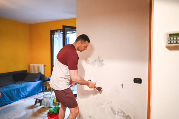 Best Emergency Mold Removal  in Slippery Rock University, PA