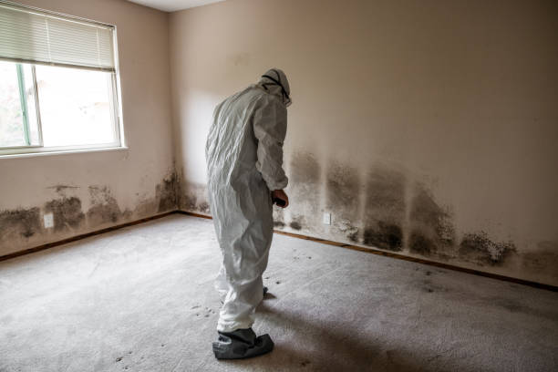 Best Home Mold Removal  in Slippery Rock University, PA