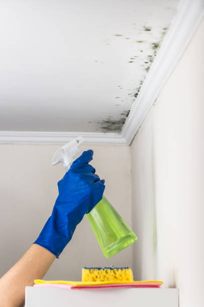 Best Mold Remediation  in Slippery Rock University, PA